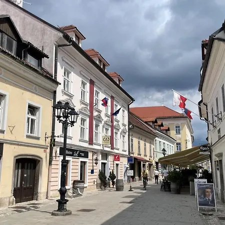 Art Kranj