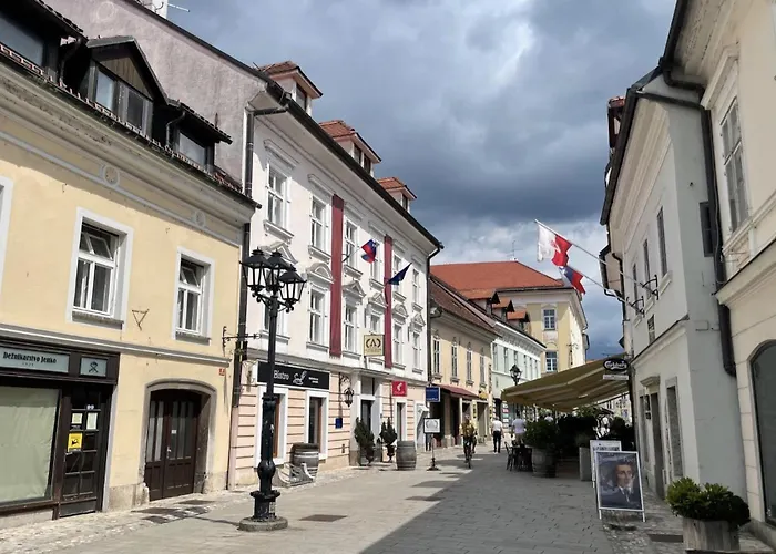Art Kranj
